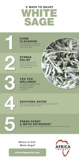 White Ceremonial Sage