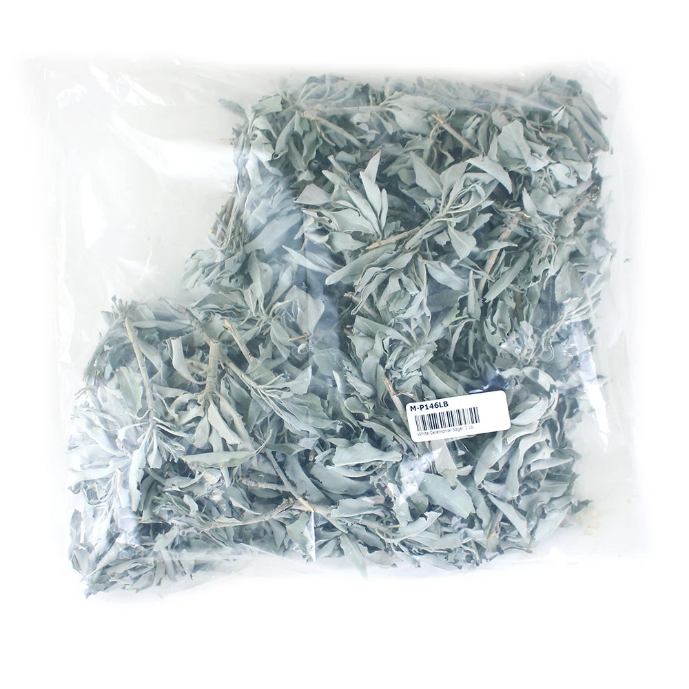 White Ceremonial Sage